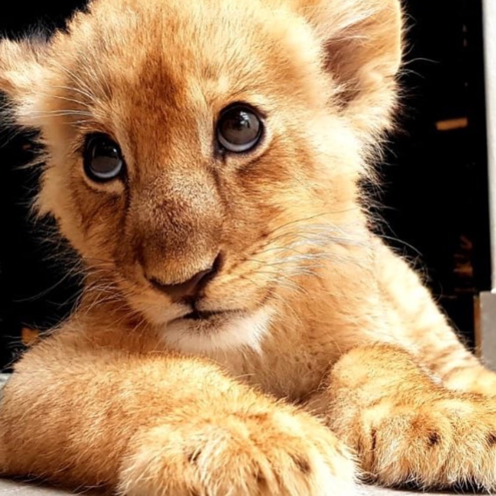 Meet your Posher, Denisse